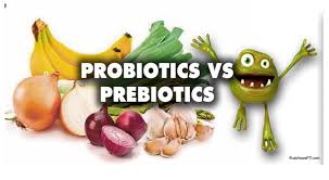 Getting to the guts of pro and prebiotics