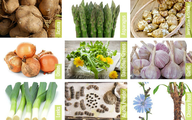 The ins and outs of the gut microbiome and the part it plays in health & disease